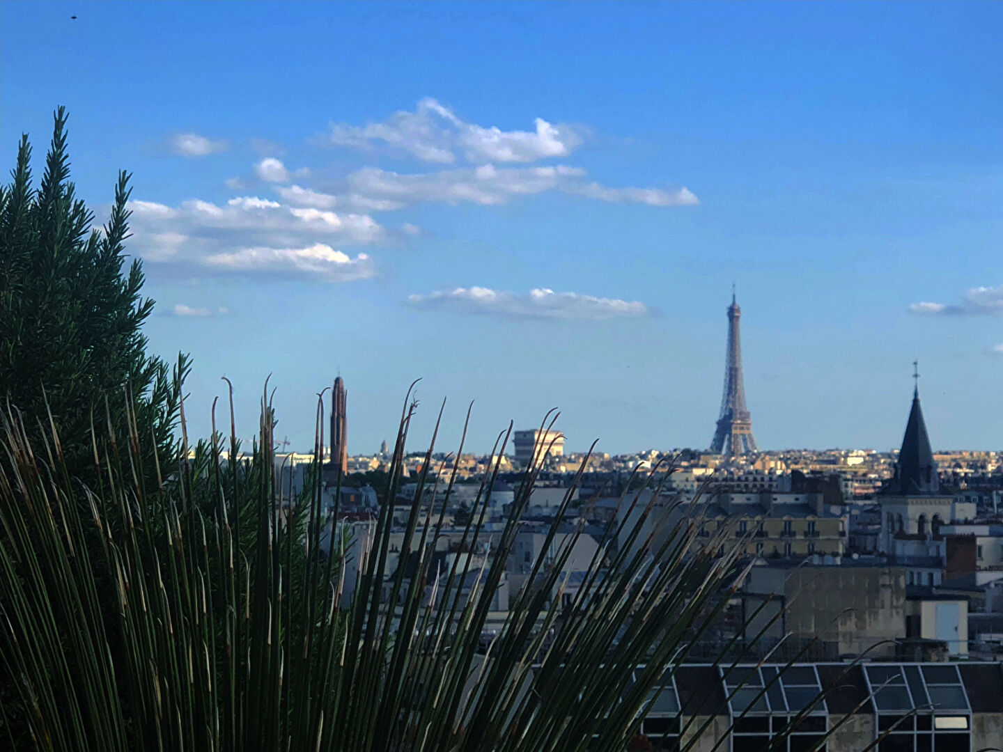 
Levallois-Perret , vue Tour Eiffel, Appartement  2 pièces au dernier étage de près de 62m², grande de terrasse et cave
